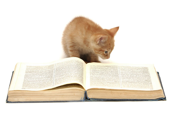 Veterinary Books